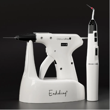 Waldent Ergo Intra-Oral Camera