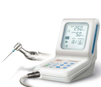 Waldent Ergo Intra-Oral Camera