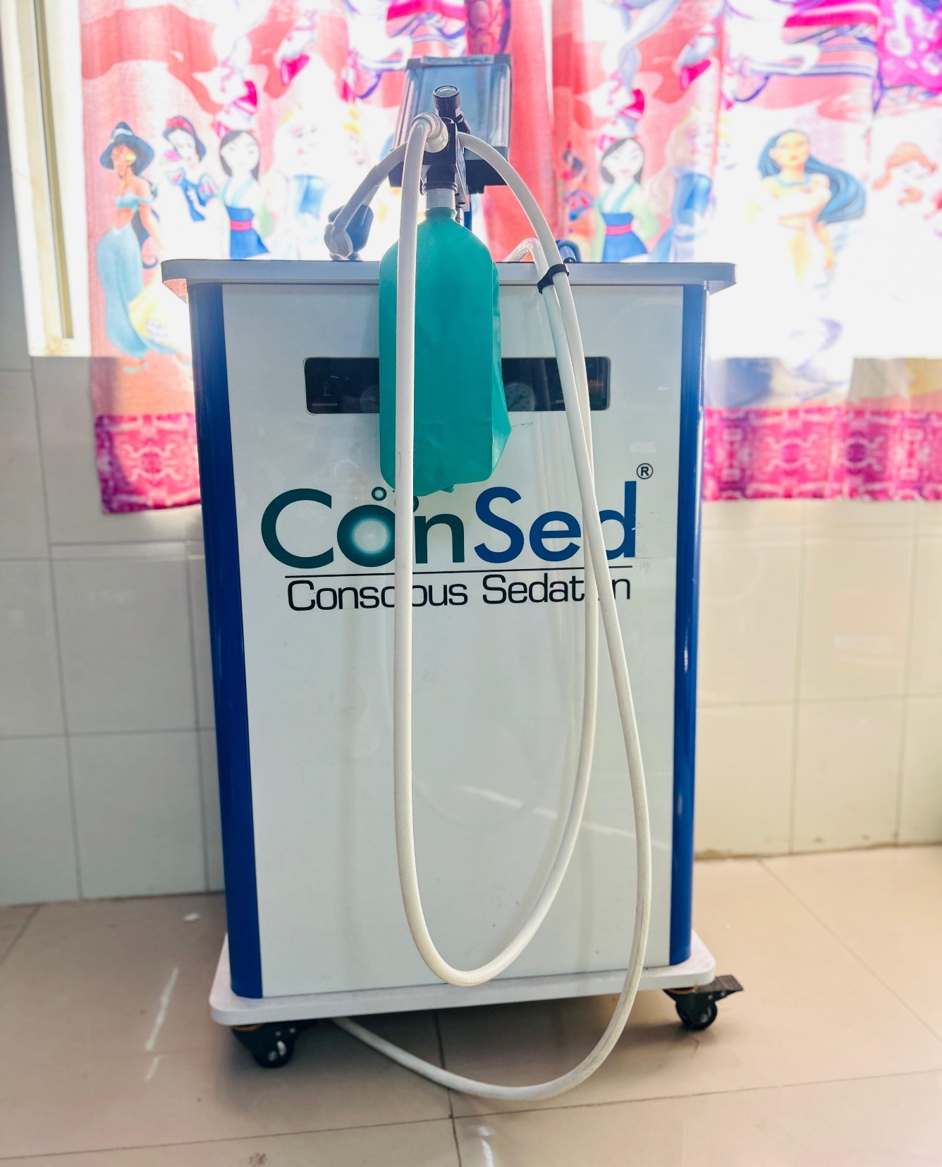 Waldent Ergo Intra-Oral Camera